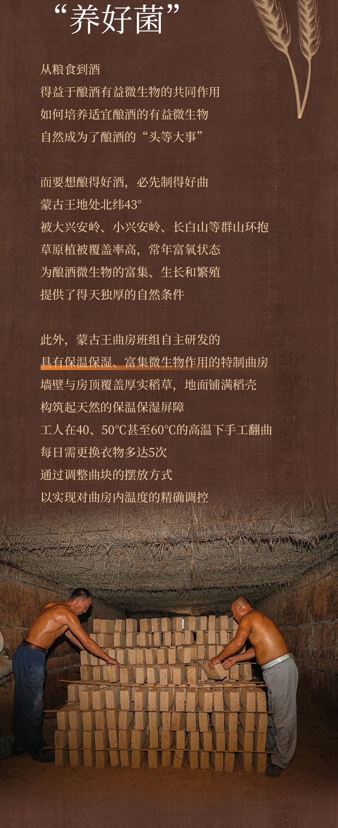 855d17e596a069a6bc76c88f04cb20c3.jpg